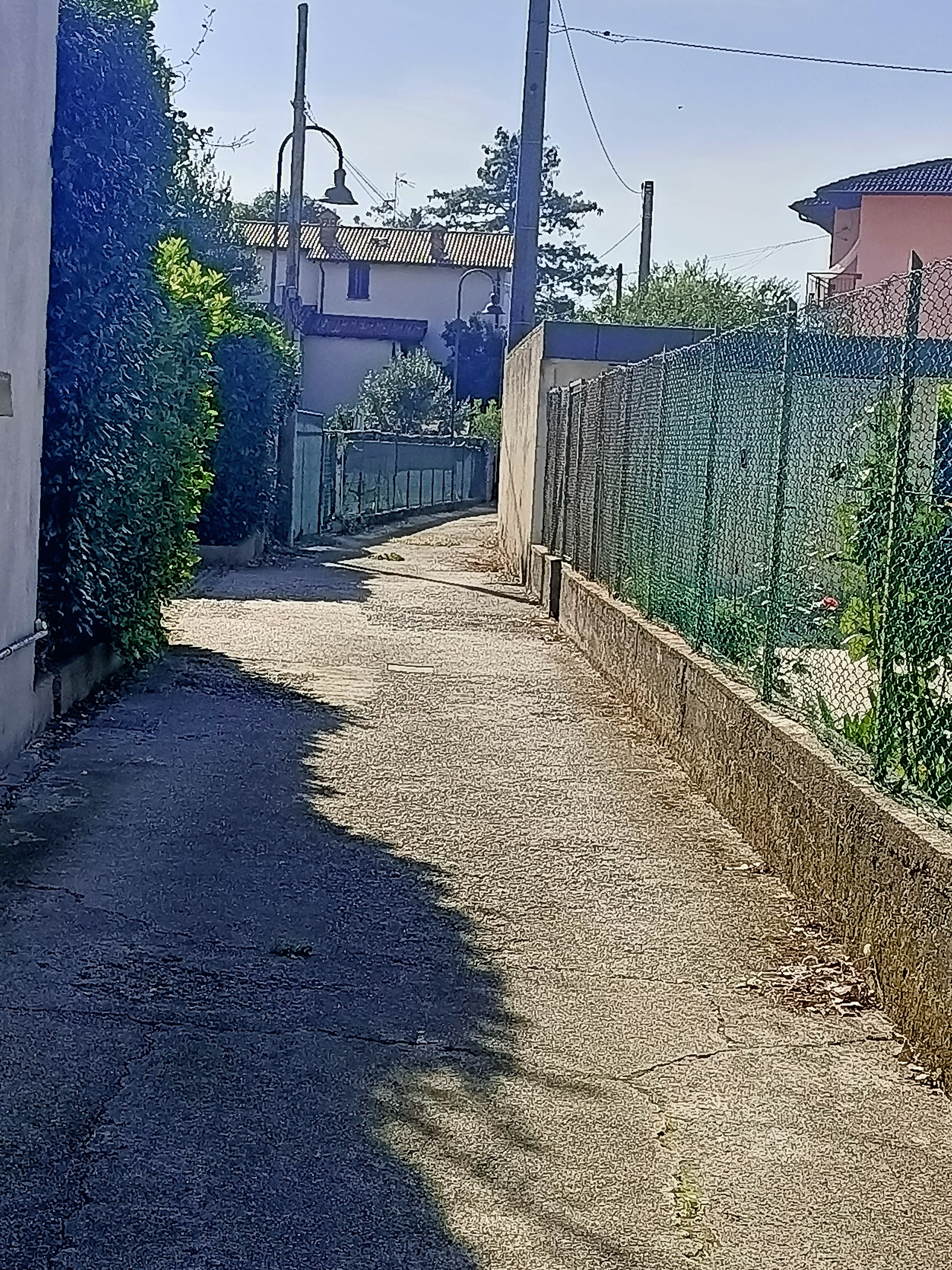 Immagine della segnalazione