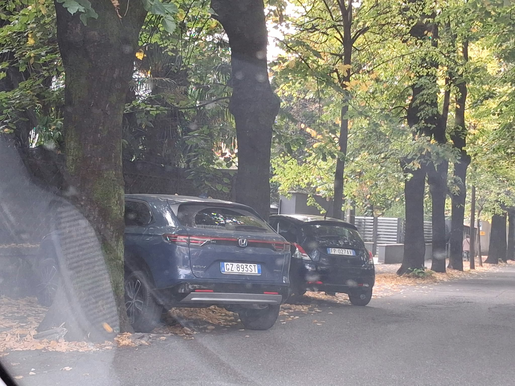 Immagine della segnalazione