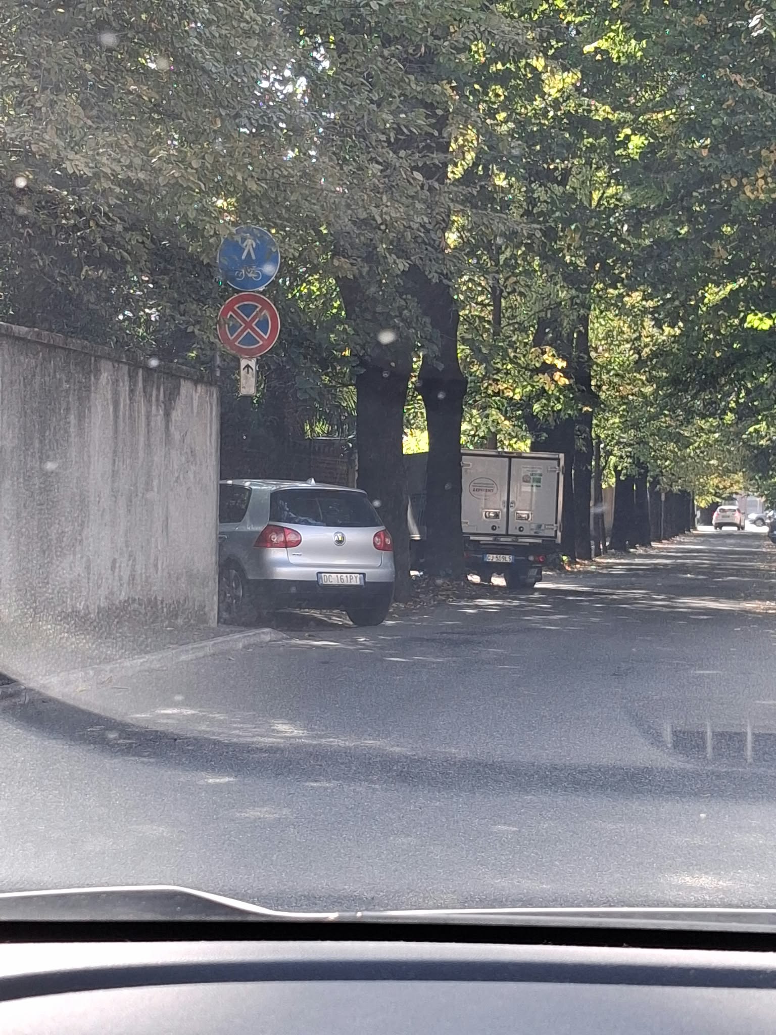 Immagine della segnalazione