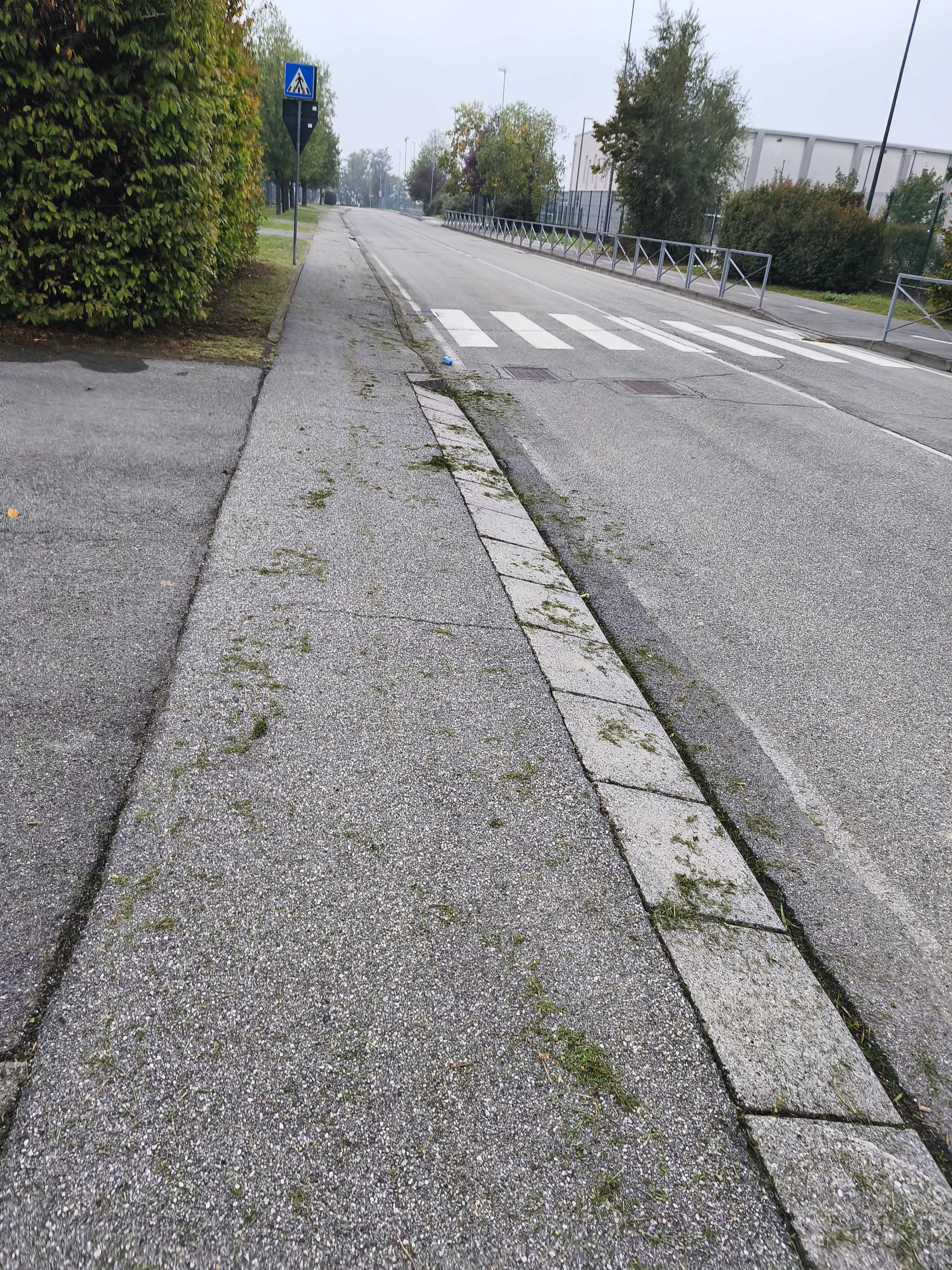 Immagine della segnalazione