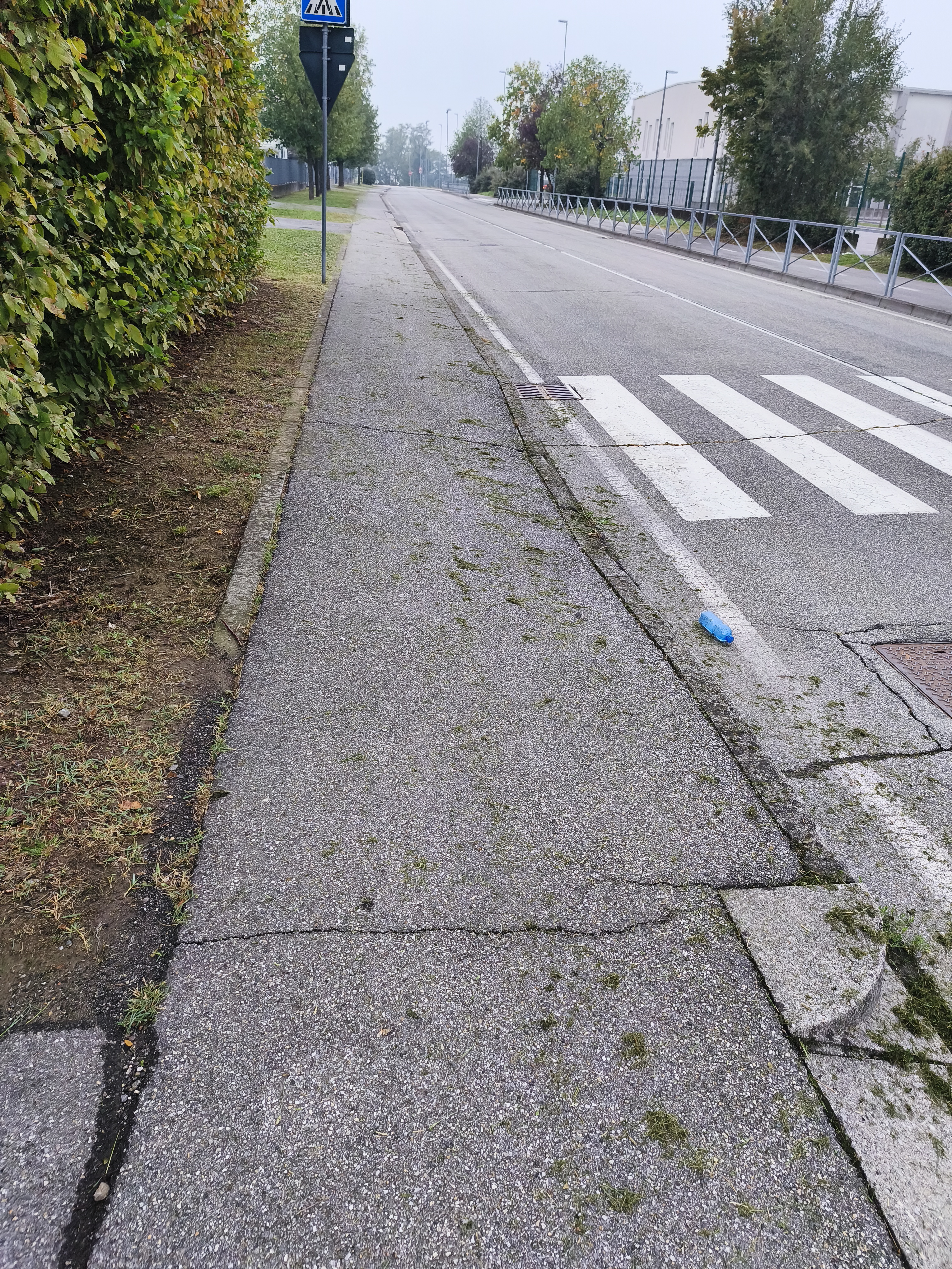 Immagine della segnalazione