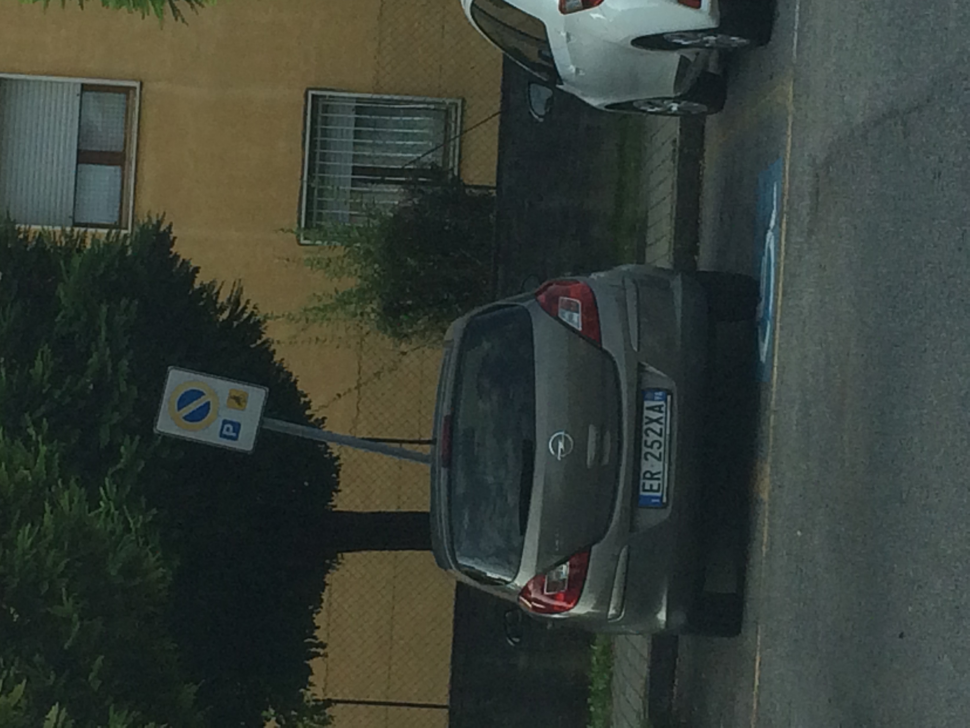 Immagine della segnalazione