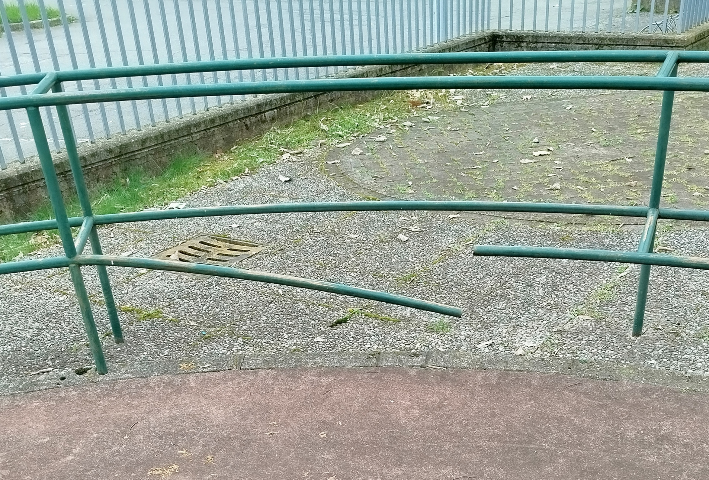 Immagine della segnalazione