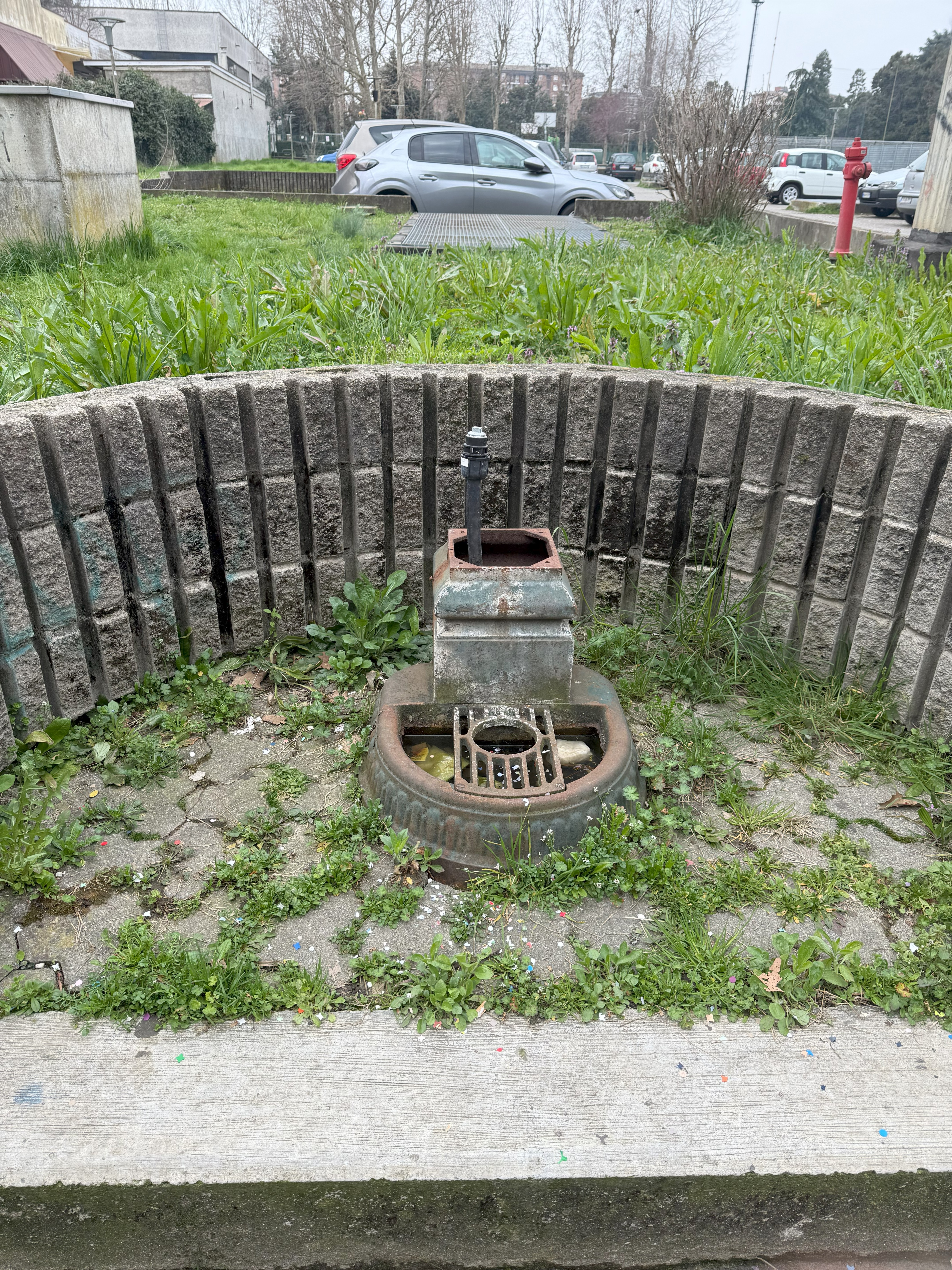 Immagine della segnalazione