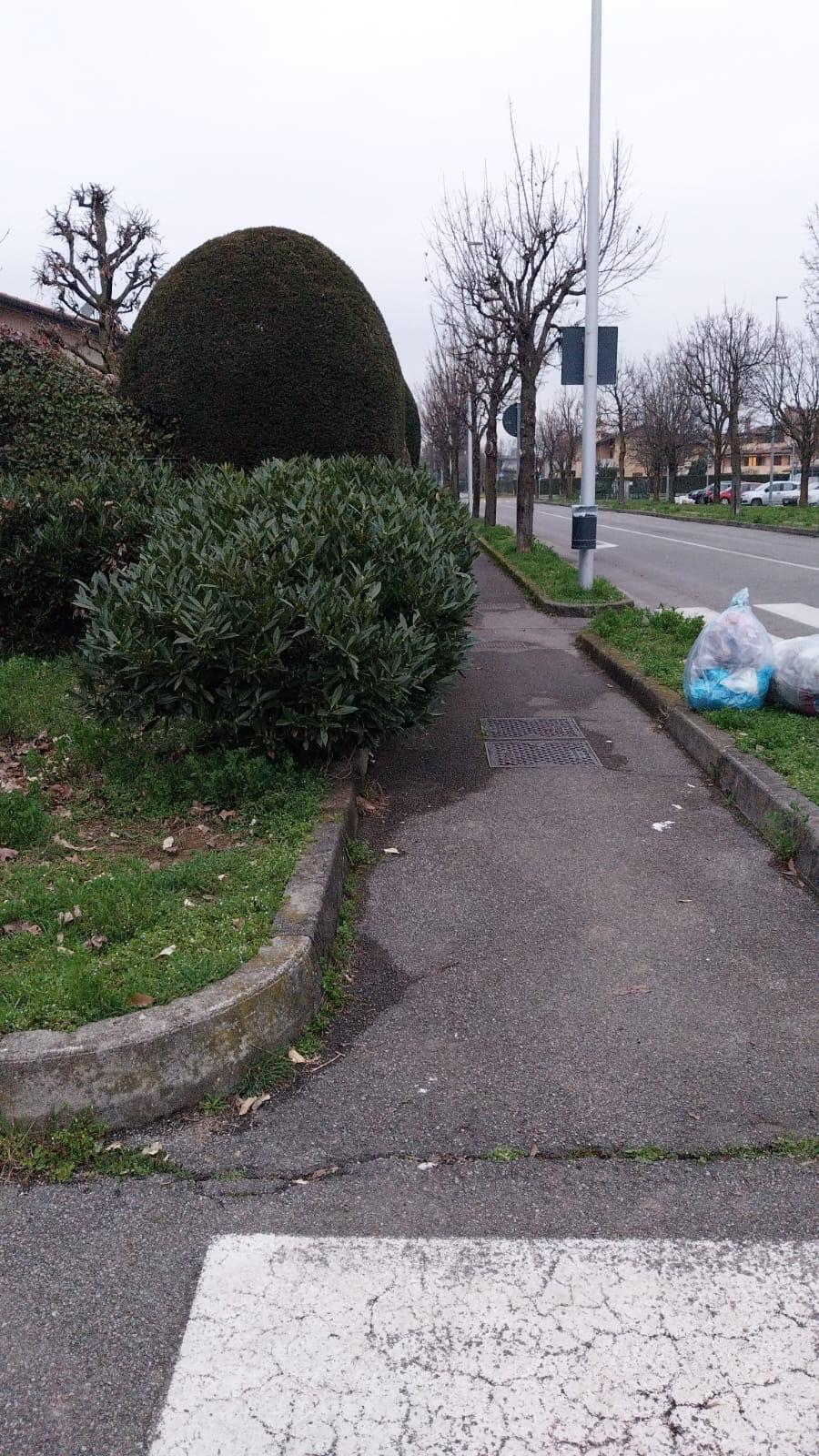 Immagine della segnalazione